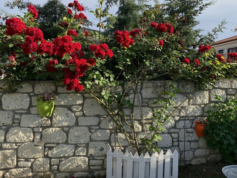 Windmill Alacati Boutique Hotel