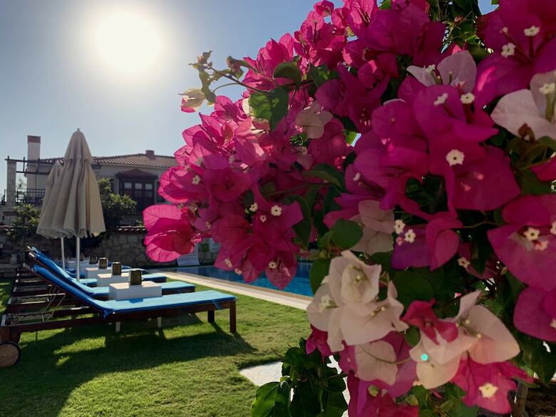 Windmill Alacati Boutique Hotel