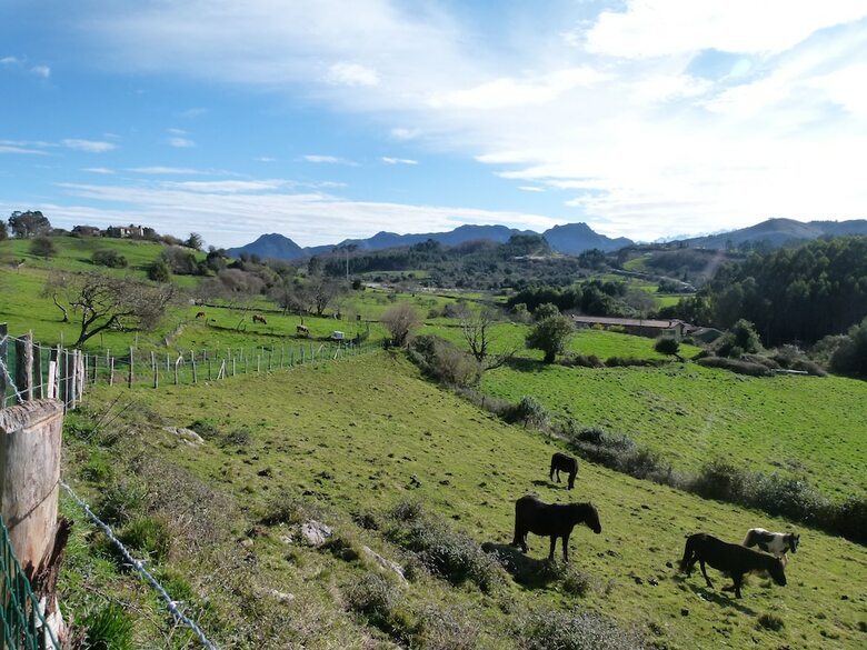 Casa de Aldea Finca Los Venancios
