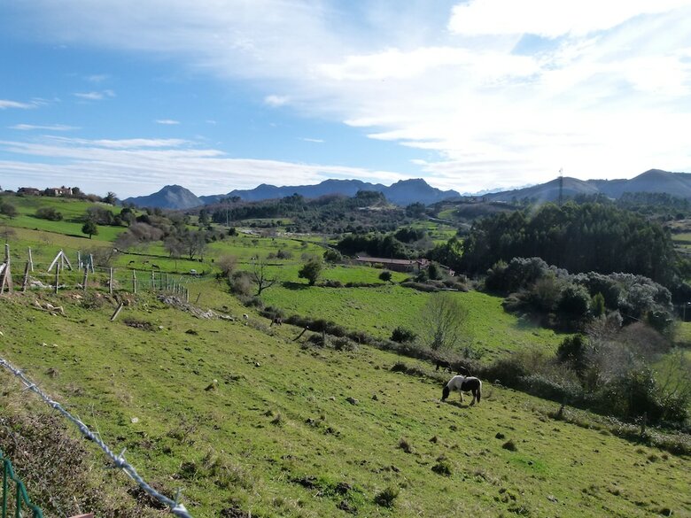 Casa de Aldea Finca Los Venancios