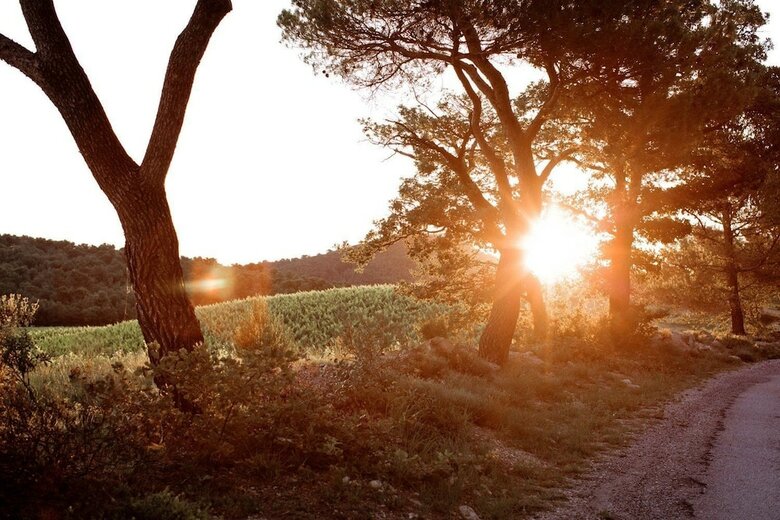 Bed & Breakfast La Verri�re