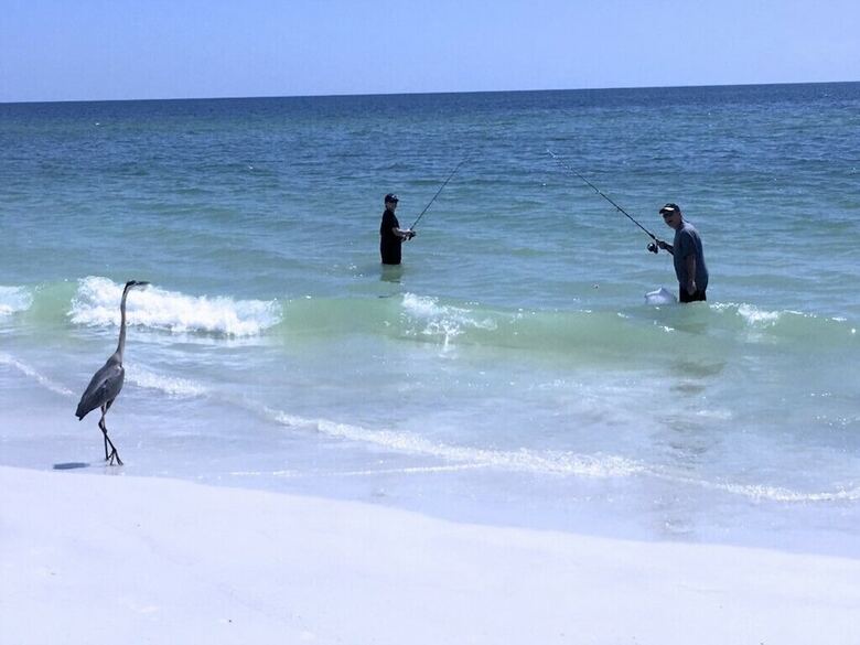 Anna Maria Island Beach Castaway 1
