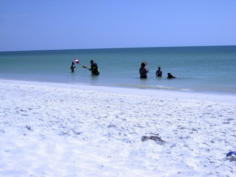 Anna Maria Island Beach Castaway 1