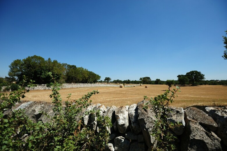 Hotel Masseria Calandrella