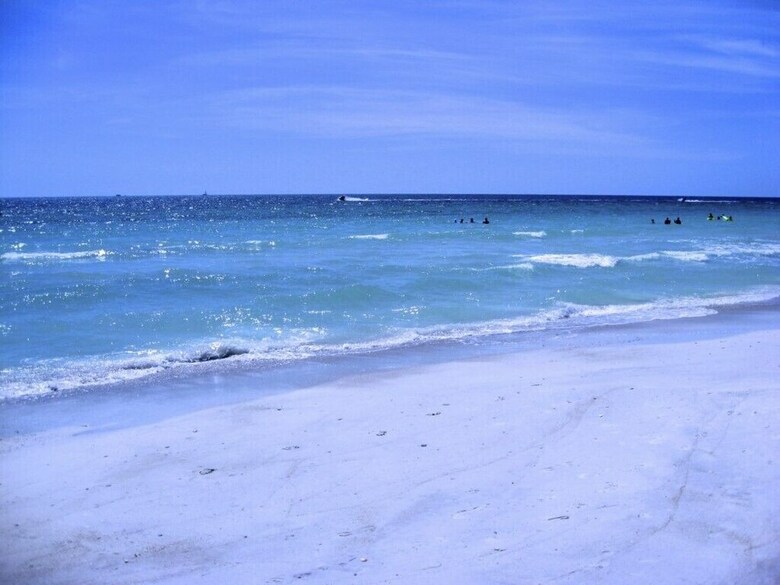 Beach Palms 6b By Anna Maria