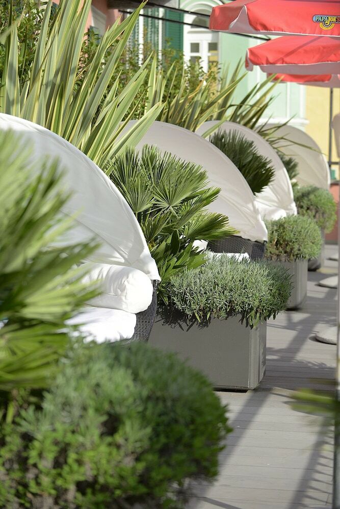 Hotel New Elvezia