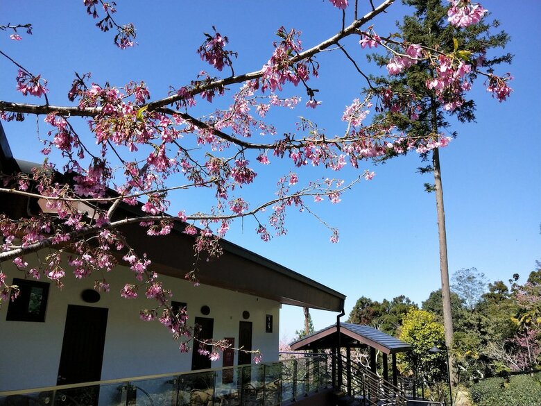Bed & Breakfast Long Yun Farm