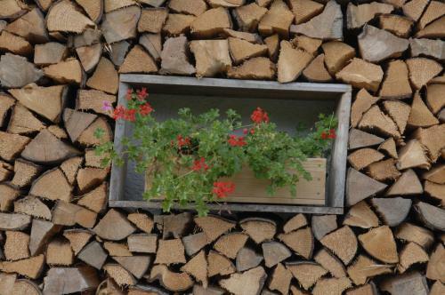 Hostal G�stehaus Alte Bergm�hle
