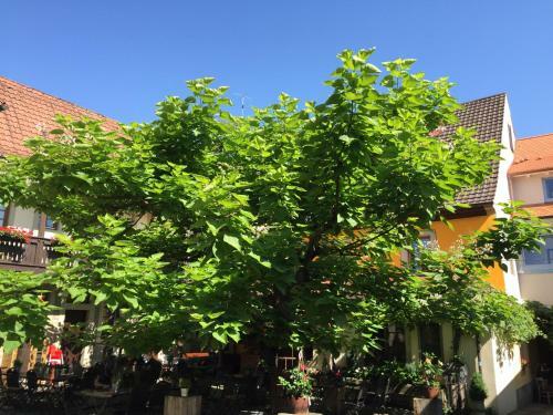 Hostal Gasthof Zum Storch
