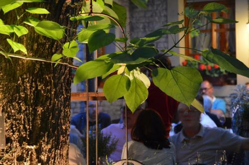 Hostal Gasthof Zum Storch