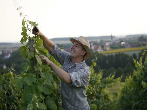 Worners Schloss Weingut & Wellness-hotel