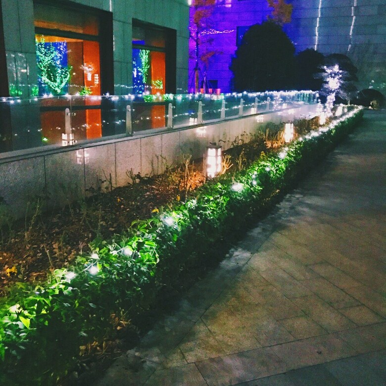 Wojo Hotel