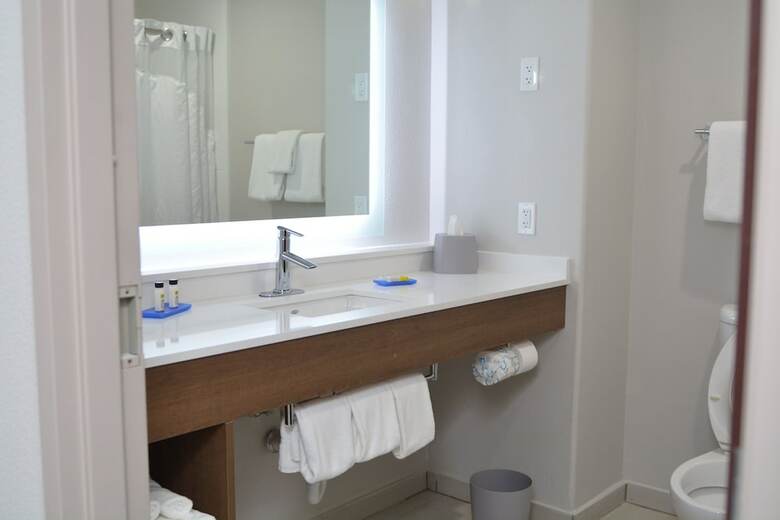 Holiday Inn Express Hotel & Suites Seguin