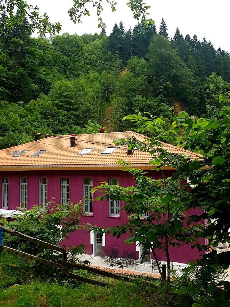 Nordic Hotel