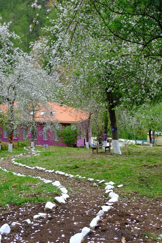 Nordic Hotel