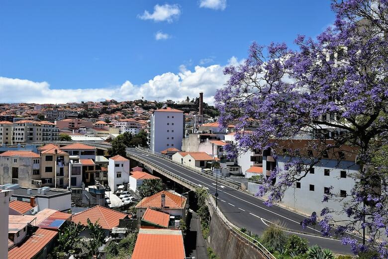 Encarnacao Apartment Funchal