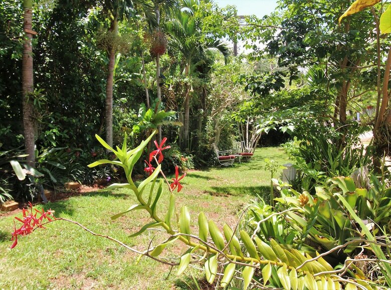Bed & Breakfast Casa Da Buena Vista