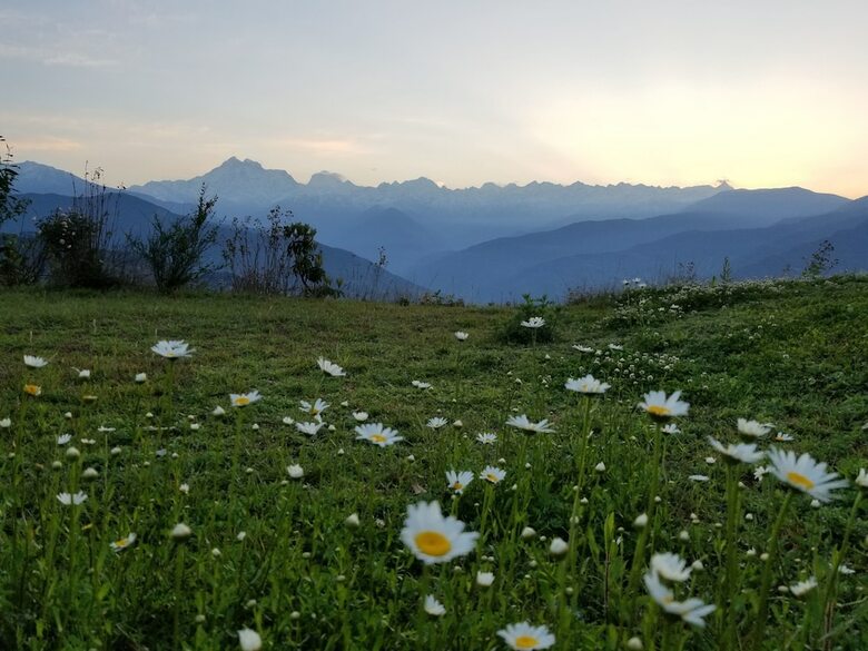 Hotel Charikot Panorama Resort