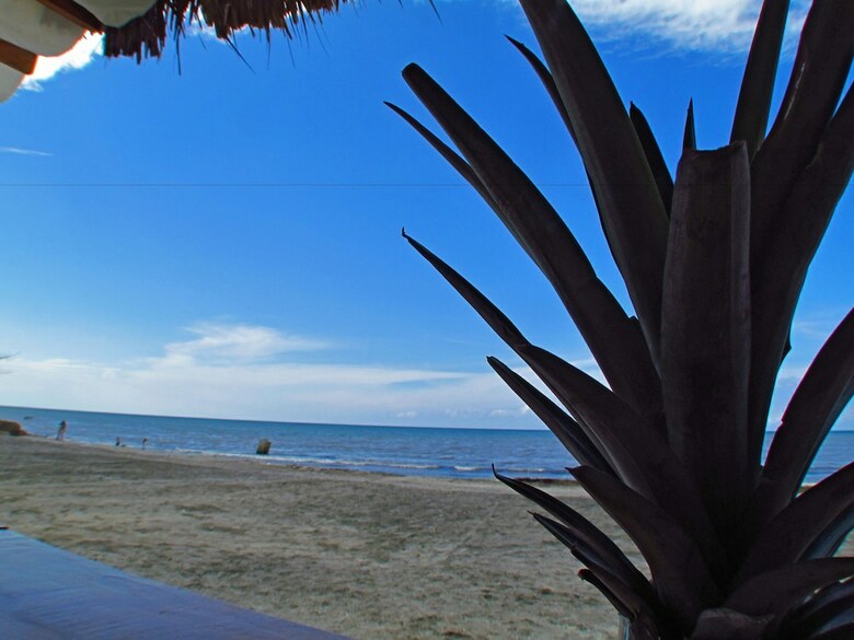 Apartamentos Suiteline Oceanfront