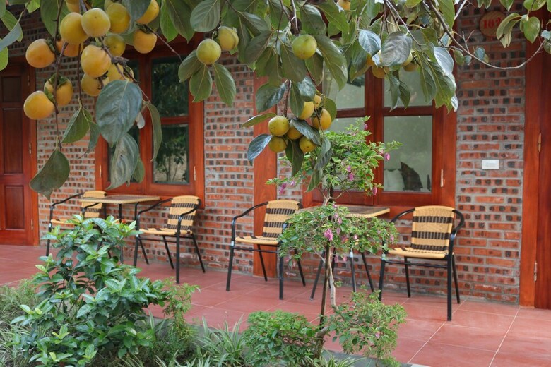 Hotel Thanh Dat Homestay