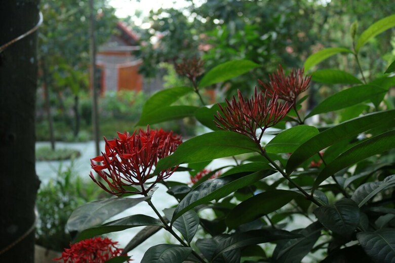 Hotel Thanh Dat Homestay