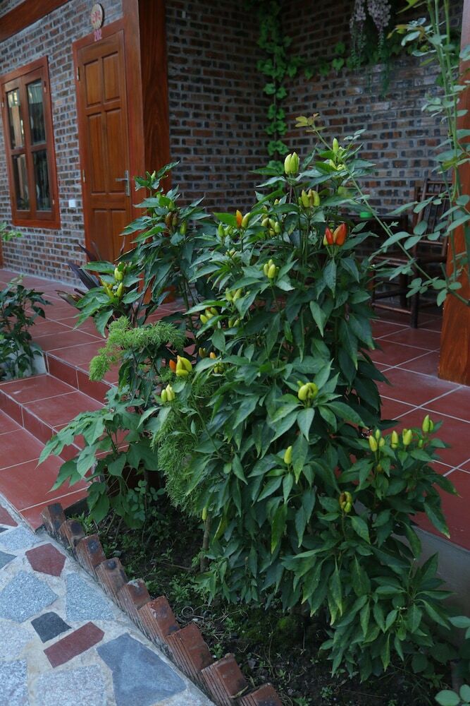 Hotel Thanh Dat Homestay