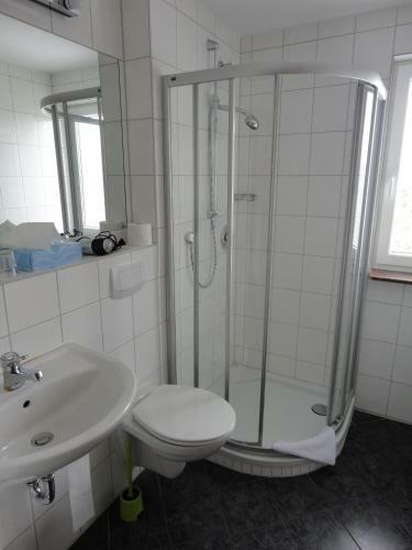 Hostal Landgasthof Traube