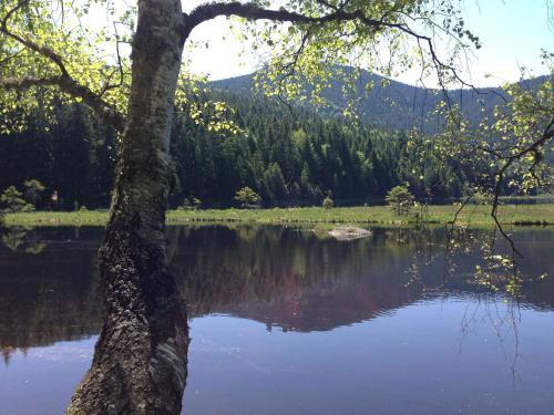 Apartamento Bayerwald