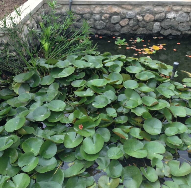 Hotel Garden Roomz Oman