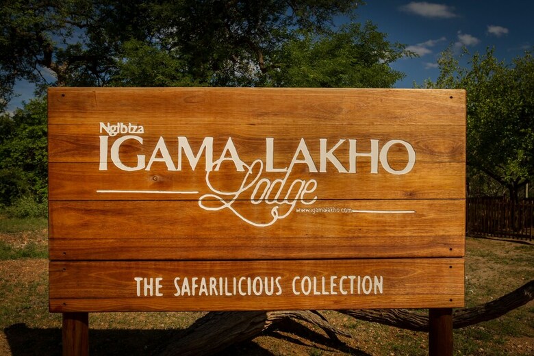 The Safarilicious Collection