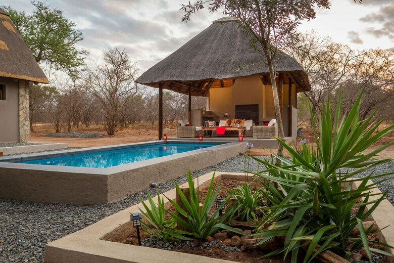 The Safarilicious Collection