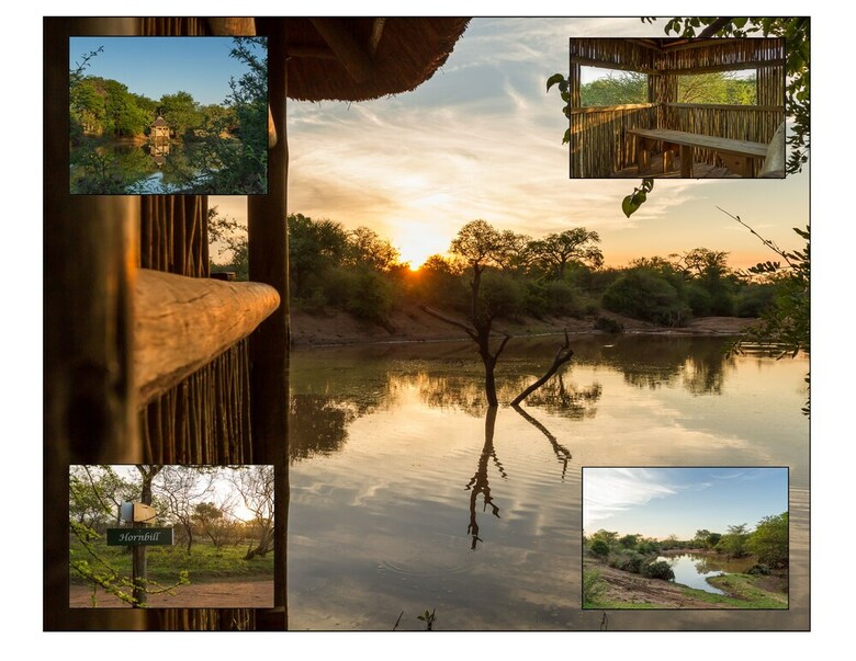 The Safarilicious Collection