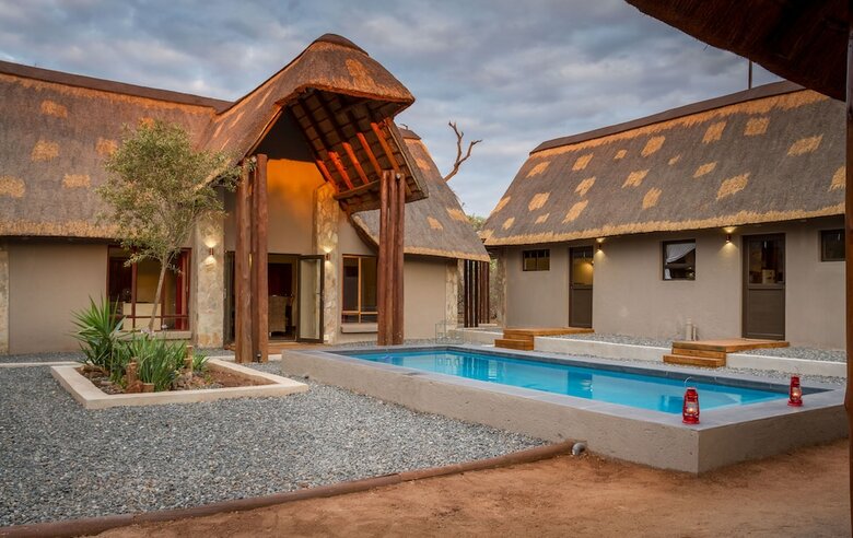 The Safarilicious Collection