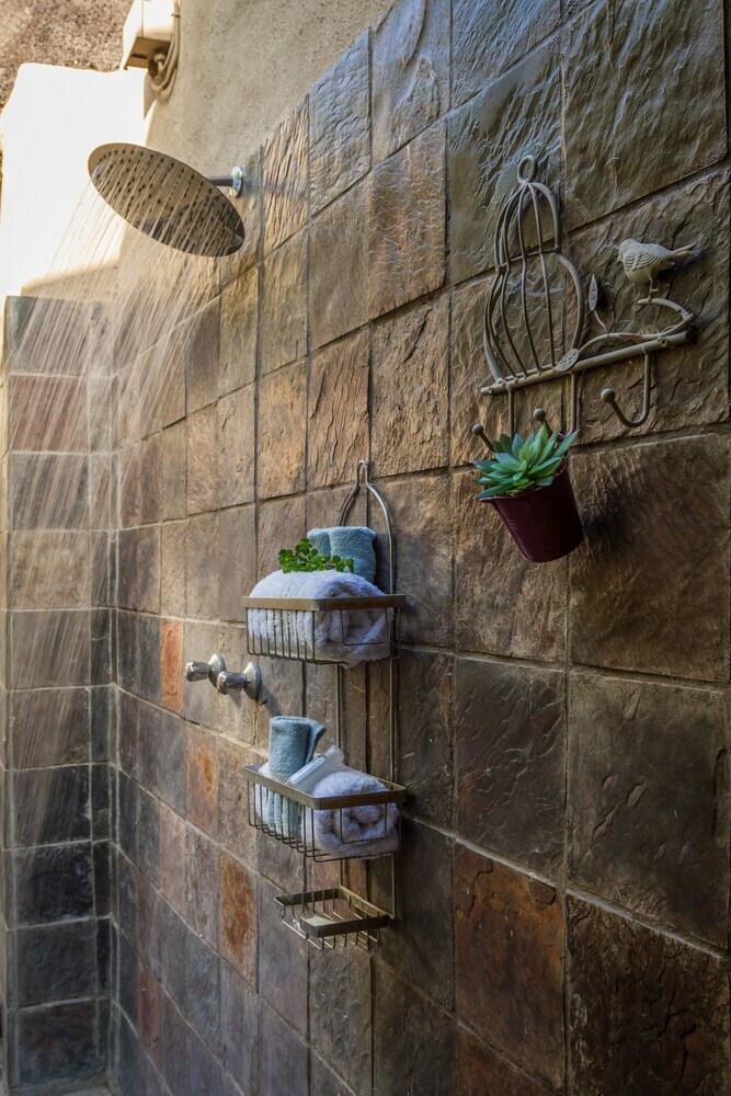 The Safarilicious Collection