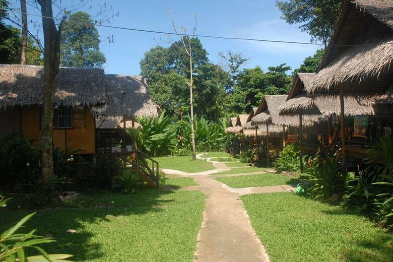 Apartamento Jungle Garden