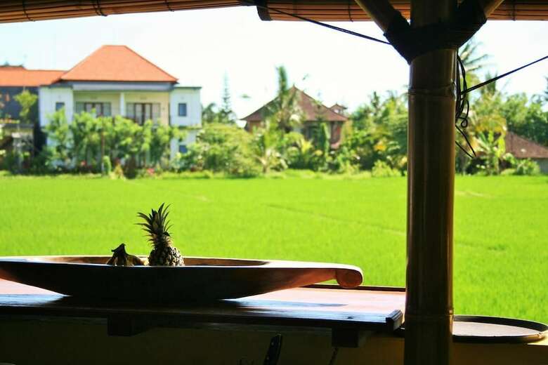 Hostal The Happy Mango Tree - Hostel