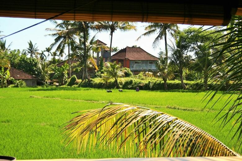 Hostal The Happy Mango Tree - Hostel