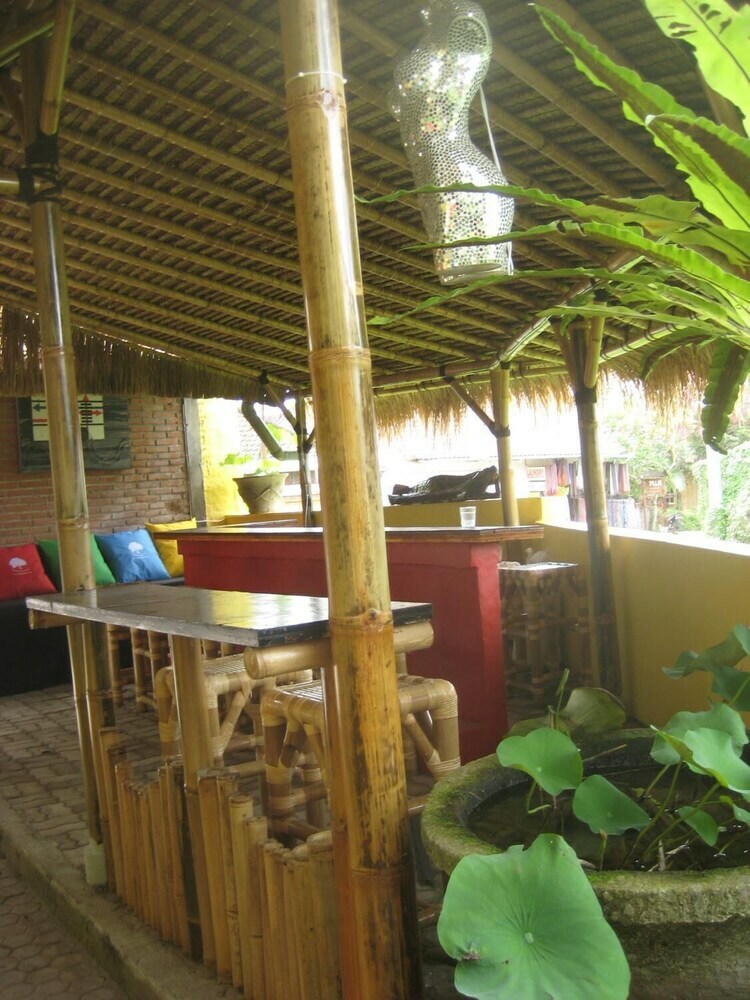Hostal The Happy Mango Tree - Hostel