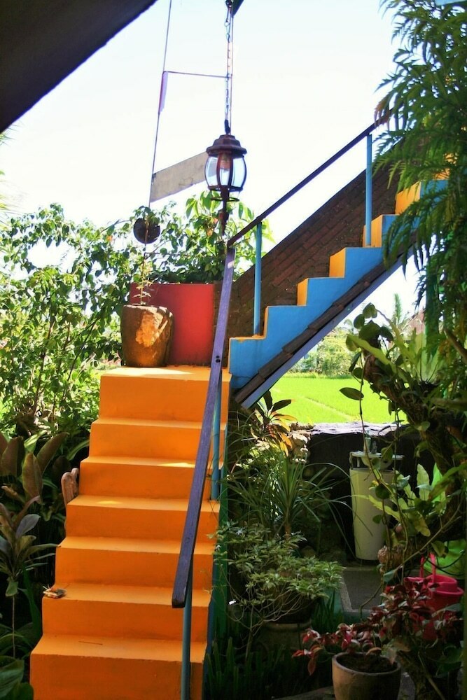 Hostal The Happy Mango Tree - Hostel