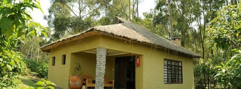 Posada Da Vinci Gorilla Lodge