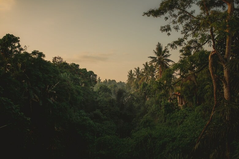 Hotel B Saya Villas Ubud