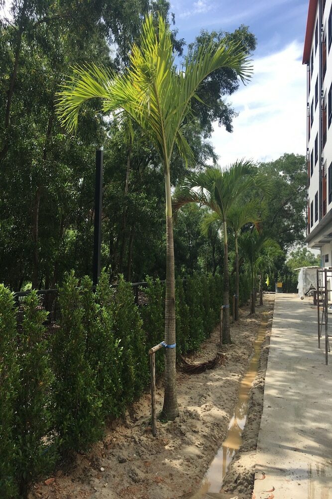 Hotel Bangkok Boutique Resort Rangsit