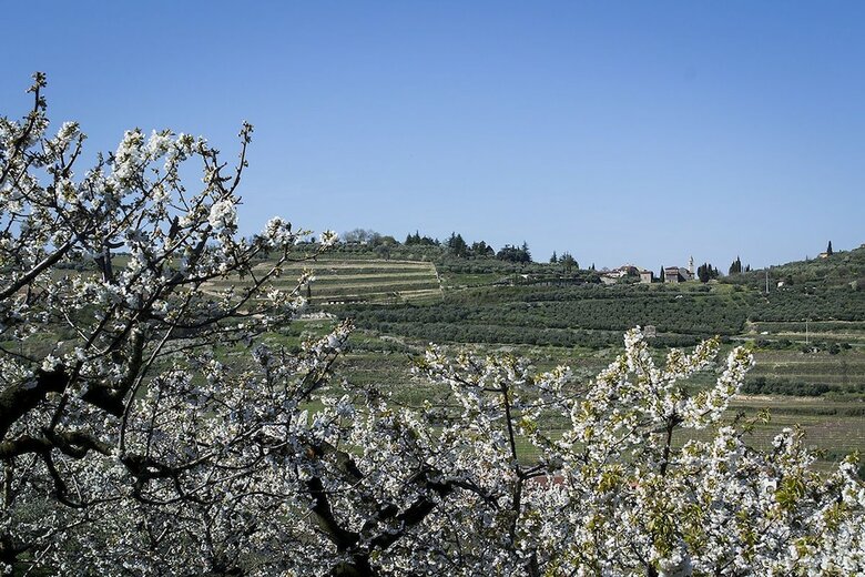 Hotel Villa Di Cazzano - Bioluxury Living