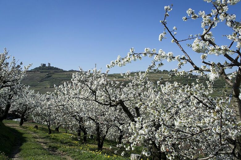 Hotel Villa Di Cazzano - Bioluxury Living