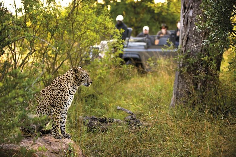 Posada Lion Sands Tinga Lodge