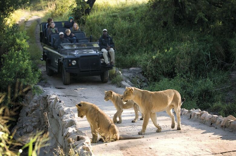 Posada Lion Sands Tinga Lodge