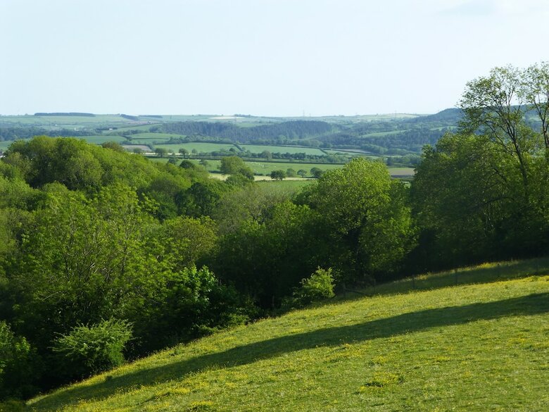 Coedllys Country House B&B