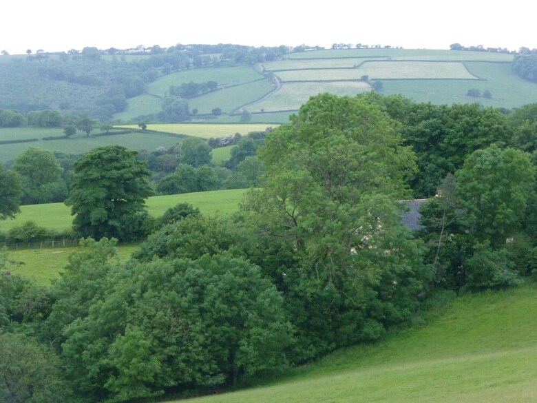 Coedllys Country House B&B