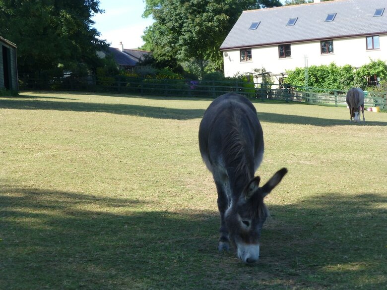 Coedllys Country House B&B