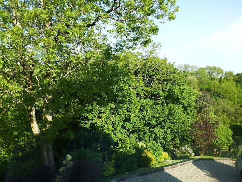 Coedllys Country House B&B